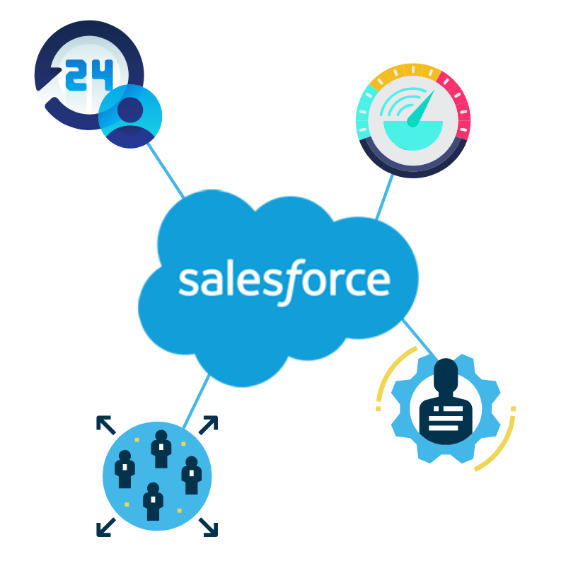 Salesforce for Professional Services Salesforce Capacity Planning and Utilization